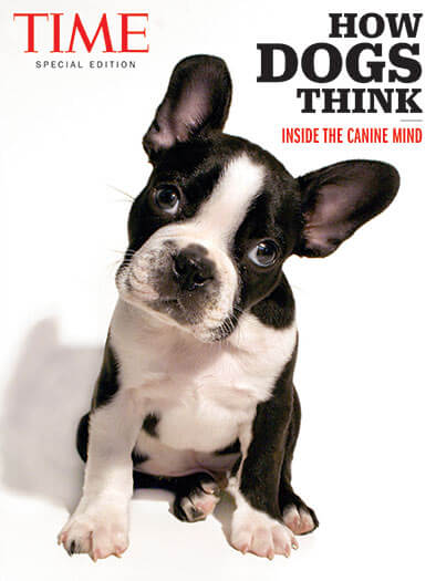 Cover of TIME: How Dogs Think