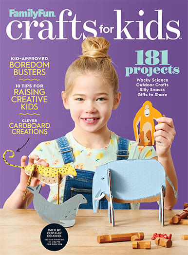 Cover of Family Fun Crafts for Kids